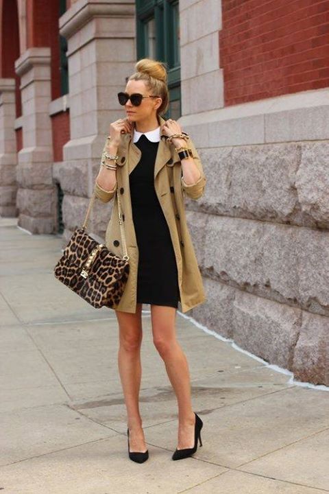 Coat Dress Outfit For Fall Fashion
