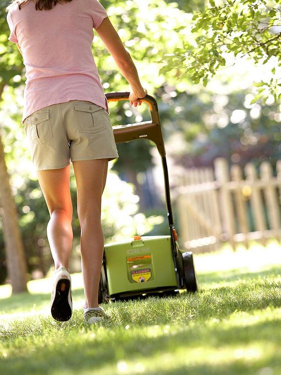 Expert Tips on Choosing the Perfect Lawn Mower